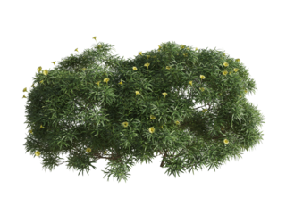 These images are used to decorate the house, replace or create a forest, hope you like them