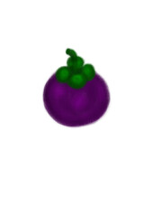 hand drawn picture of mangosteen