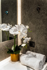 A detailed view of a contemporary bathroom interior, featuring a pristine white orchid in a pot as a tasteful decoration. The image showcases rolled towels neatly arranged beside the orchid