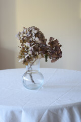 Jarrón con flores secas sobre mesa con mantel blanco y fondo neutro, en vertical y con espacio...