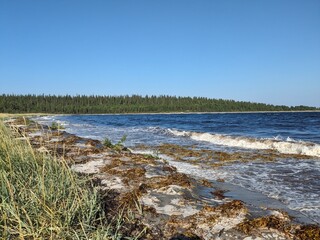 Great sandy northern beach on a sunny day