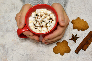 woman holding cup of hot chocolate with marshmallows in the hands