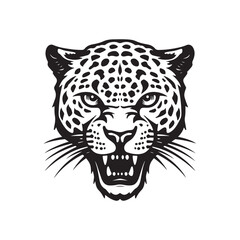 Leopard head Vector Images