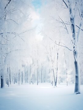 Fairy-tale beautiful snowy winter forest, picture with blank space for text