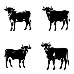 silhoutte of cattle bull