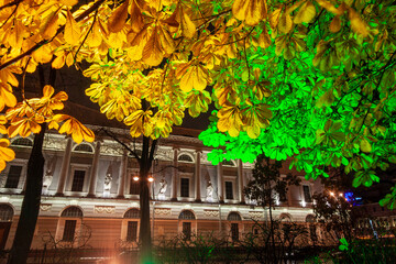 View of the beautiful facade of a historical building with antique sculptures. In the foreground are tree branches with colorful autumn leaves. Yellow leaves. St. Petersburg, Russia. Night city.