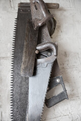 Different old crosscut saws hanging on the white wall