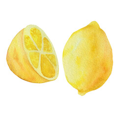 Illustration of lemon in watercolor. watercolor style of lemon fruit on white background. Antiviral health food. Perfect for home decor, card making, cocktail menu