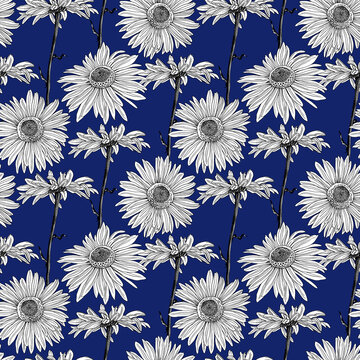 Seamless pattern of Hand Drawn floral plants camomile flowers. Line herb flowers daisy. Botanical greenery chamomile flower illustration. On dark blue background.