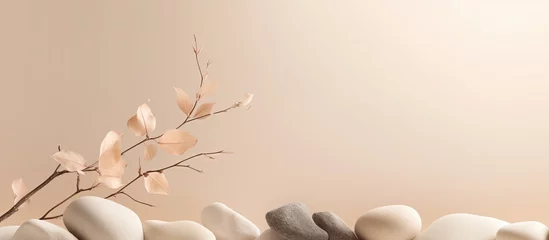 Fotobehang Neutral beige background with stones and a dry branch ideal for cosmetic branding and packaging Natural pastel colors Copy space front view © Vusal