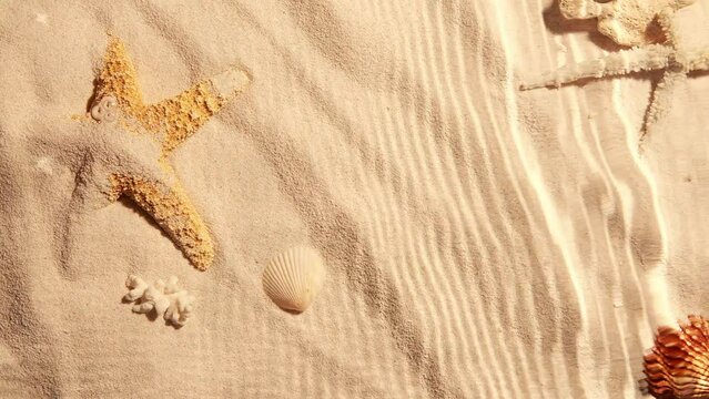Seabed underwater with shells an sand
