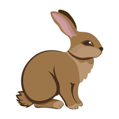 Fototapeta premium Hare. Cartoon graphic drawing. Close-up. White background. For web design, print, kids illustrations, stickers. 