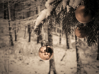 Christmass balls on tree twig. Christmas time.