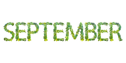 SEPTEMBER, month, word or text made from various kinds of leaves isolated on transparent background, PNG, suitable for template design 