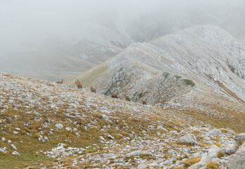 Appennini mountains, Italy - The mountain summit of central Italy, Abruzzo region, above 2500...