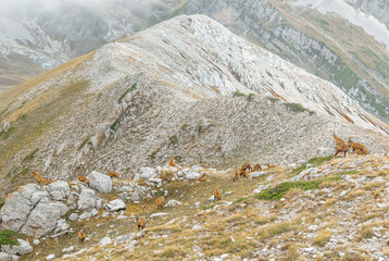 Appennini mountains, Italy - The mountain summit of central Italy, Abruzzo region, above 2500 meters, with alpinists