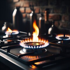 gas stove burner professional photo