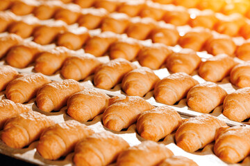 Closeup set Fresh crispy french croissants. Concept traditional Bakery industry