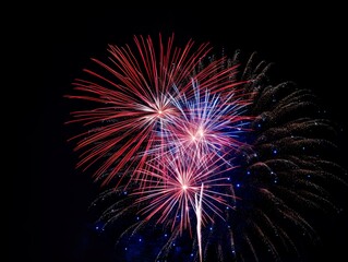 Fototapeta premium fireworks &nbsp;light up the sky Abstract colored firework background.