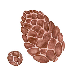 Folk Pinecone. Folk style botanical set. Hand-drawn gouache illustration  for wallpaper, banner, textile, postcard or wrapping paper