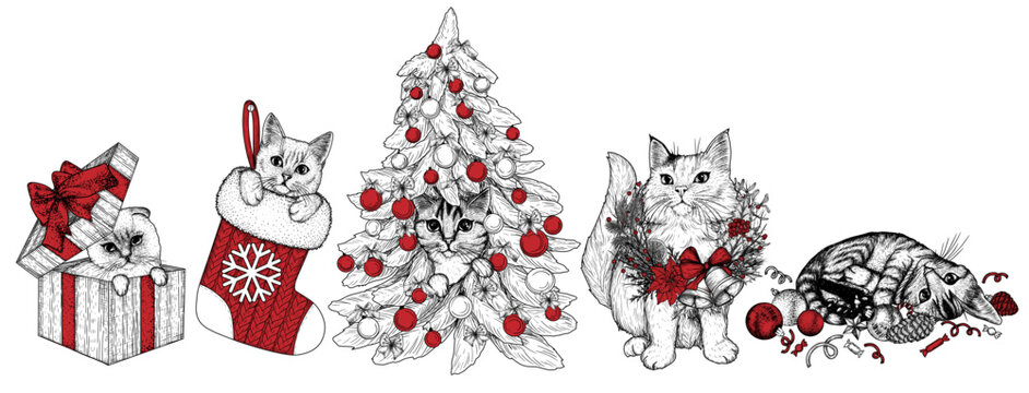 Vector set of 5 holiday cats in engraving style. Tabby cat in a Christmas tree, Siamese fold in a gift box, kitty in a sock, white cat in a Christmas wreath and striped kitten in tree toys