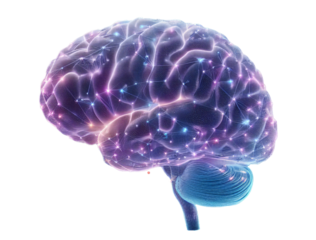 Brain Technology Synapses Isolated Transparent Background