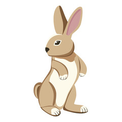 Hare. Cartoon graphic drawing. Close-up. White background. For web design, print, kids illustrations, stickers.