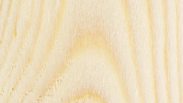 Wood close-up, processed wooden board, tree structure background, fiber structural arcs rotating, turning, close-up macro, top view