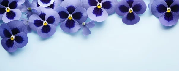 Tuinposter Frame made of beautiful violet and purple pansy flowers on light blue background with copy space. Floral spring backdrop. Border for design greeting card or banner for wedding, mother or woman day © ratatosk