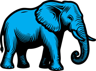 a self-made illustration
