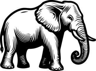 a self-made illustration
