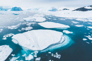 Icebergs, sculpted by time and the elements, drift serenely in the vast expanse of the Antarctic Ocean. The sun's rays dance on the icy surfaces, creating a mesmerizing display of light and shadow.