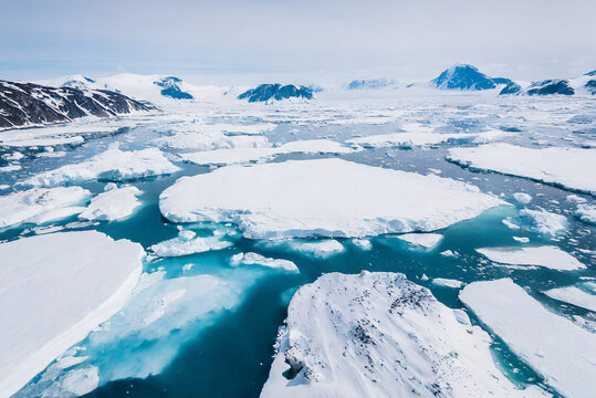 The image depicts a vast expanse of icy terrain, with icebergs and ice floes scattered across the landscape. The ice formations are a mix of white and blue.