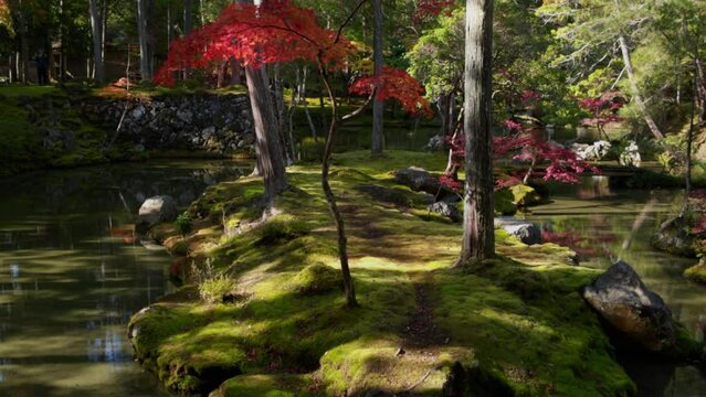 Japanese garden in autumn, famous Kyoto moss temple with a Japanese maple and zen pond, Kokedera temple oriental garden
