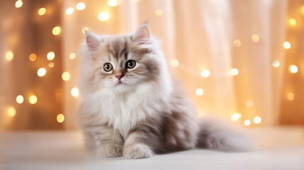Cute fluffy kitten sitting and looks at the camera, surrounded by a Christmas-decorated room in a modern Scandinavian style. Minimalist festive holiday decor, warm and inviting atmosphere. Blurred - 683338131