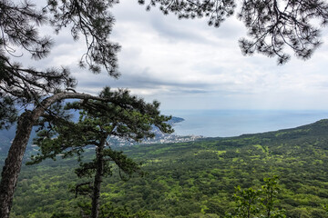 Fototapeta na wymiar Picturesque view of the city of Yalta and the Black Sea from Ai-Petri mountain in Crimea. Mountain landscape with trees in the clouds. Clouds over Ai-Petri Mountain. Crimean Peninsula
