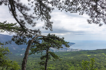 Picturesque view of the city of Yalta and the Black Sea from Ai-Petri mountain in Crimea. Mountain landscape with trees in the clouds. Clouds over Ai-Petri Mountain. Crimean Peninsula