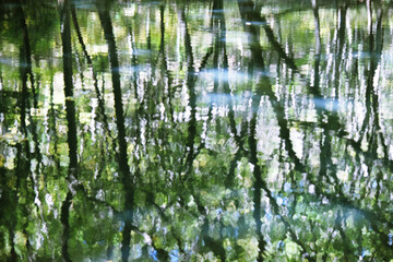 水面に映り込む森の緑　葉　グラデーション　水面　川　湖　池　沼　水　波紋　模様