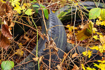 Used car tires thrown into the forest. Environmental pollution concept
