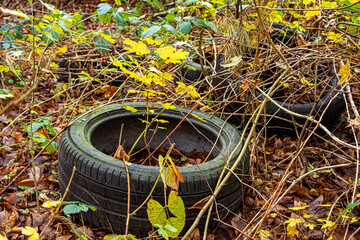 Used car tires thrown into the forest. Environmental pollution concept