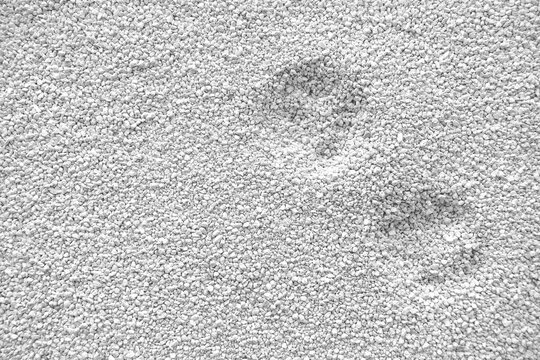 Cat litter texture background. Cat toilet.	
White bentonite cat litter. 