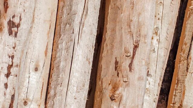 Logs of wood round, hewn, processed, stacked, rotating, turning, close-up macro, top view