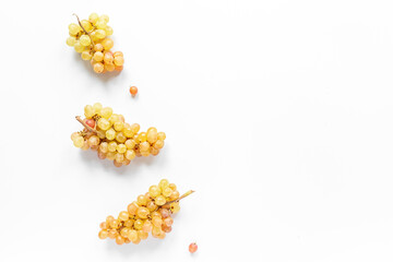 Organic fresh grapes from the vineyard. Grapes harvest. Food pattern