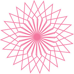 Beautiful Mandala with vector design