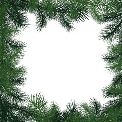 Merry christmas card with text and christmas tree square frame, vector illustration. Realistic fir-tree branches, sketch isolated on white. Christmas card, design