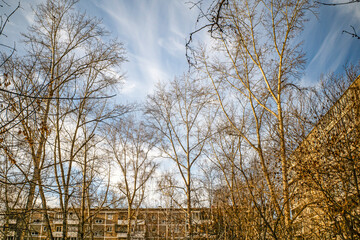 A fragment of the urban landscape on an autumn day