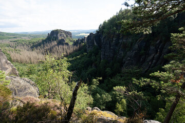Landschaft im Nationalpark Sächsische Schweiz in Sachsen Deutschland