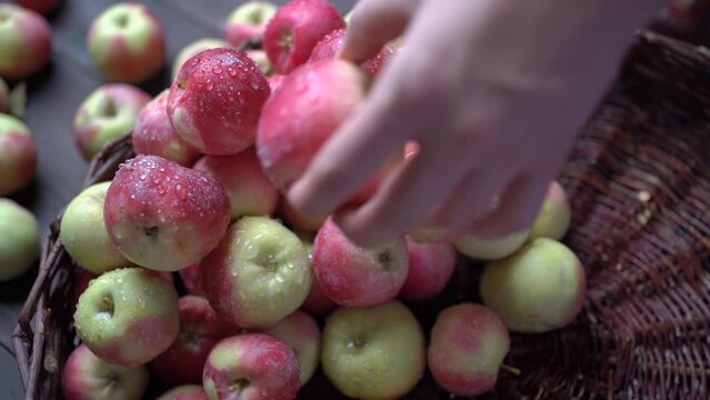 Fresh red apples on a wooden table in a basket are spinning