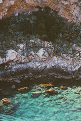 Summer ocean cliff