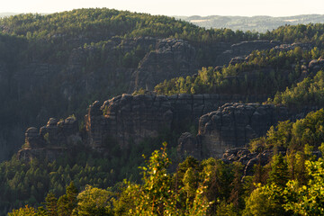 Sandstein Felsen Landschaft mit Wald Bäumen im Nationalpark Sächsische Schweiz 